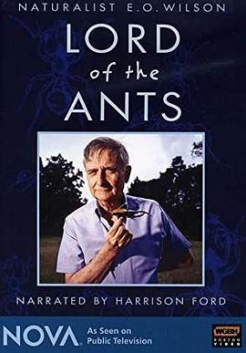 美国纪录片《蚂蚁专家 Lord of the Ants》高清下载-八六三纪录片资源网