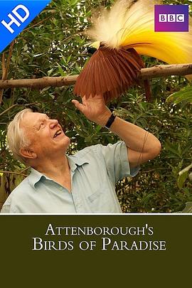 英国纪录片《自然世界：天堂之鸟 Natural World: Birds of Paradise》高清下载-八六三纪录片资源网