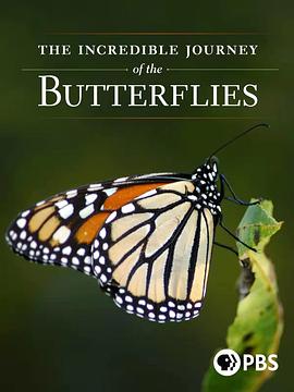 美国纪录片《蝴蝶的神奇之旅 The Incredible Journey of the Butterflies》高清下载-八六三纪录片资源网