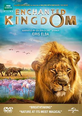 英国纪录片《魔法王国 Enchanted Kingdom 3D》高清下载-八六三纪录片资源网