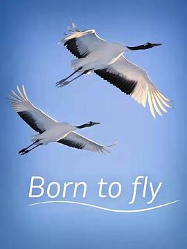 德国纪录片《生而飞翔 Born to Fly》高清下载-八六三纪录片资源网