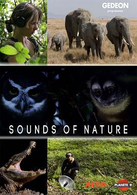 法国纪录片《自然密语 第一季 À l’écoute de la nature Season 1》高清下载-八六三纪录片资源网