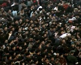 中国大陆纪录片《热闹》高清下载-八六三纪录片资源网