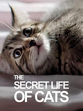 英国纪录片《BBC地平线：猫的秘密生活 Horizon: The Secret Life of the Cat》高清下载-八六三纪录片资源网
