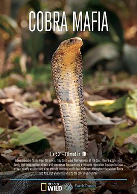 眼镜蛇黑手党 Cobra Mafia的海报
