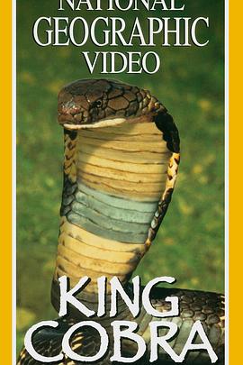 美国纪录片《国家地理：眼镜王蛇 National Geographic: King Cobra》高清下载-八六三纪录片资源网