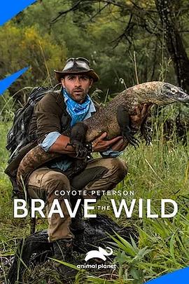美国纪录片《野地大胆王 Brave the Wild》高清下载-八六三纪录片资源网