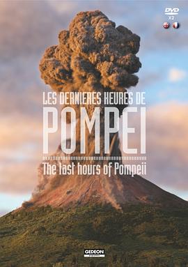 法国纪录片《重返庞贝古城 Les dernières heures de Pompéi》高清下载-八六三纪录片资源网