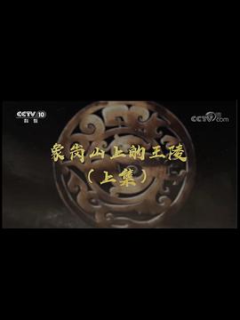 中国大陆纪录片《象岗山上的王陵》高清下载-八六三纪录片资源网