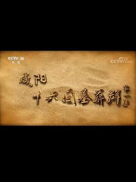 中国大陆纪录片《咸阳十六国墓葬群》高清下载-八六三纪录片资源网