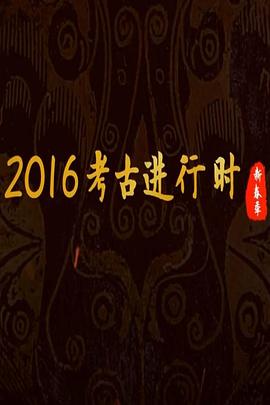 中国大陆纪录片《探索发现：2016考古进行时》高清下载-八六三纪录片资源网