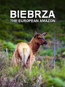 别布扎河:欧洲的亚马孙 Biebrza: The European Amazon的海报