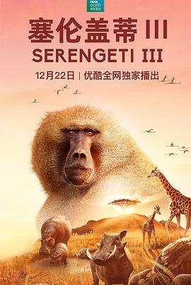 英国纪录片《塞伦盖蒂 第三季 Serengeti Season 3》高清下载-八六三纪录片资源网