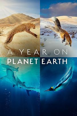美国，英国，中国大陆，德国纪录片《地球上的一年 A Year on Planet Earth》高清下载-八六三纪录片资源网
