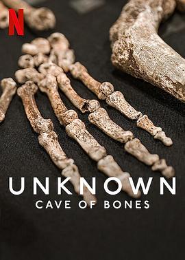 美国纪录片《地球未知档案：骸骨洞穴 Unknown: Cave of Bones》高清下载-八六三纪录片资源网