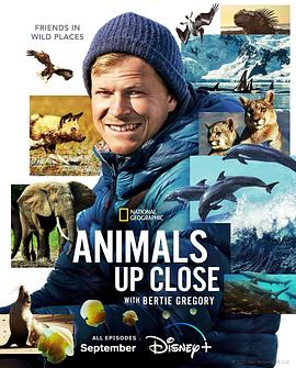 英国纪录片《贝尔蒂·格雷戈里：与动物零距离 Animals Up Close with Bertie Gregory》高清下载-八六三纪录片资源网