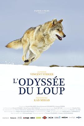 法国纪录片《狼之旅 L’Odyssée du Loup》高清下载-八六三纪录片资源网