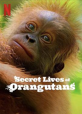 英国纪录片《红毛猩猩的秘密生活 Secret Lives of Orangutans》高清下载-八六三纪录片资源网