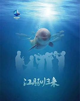 中国大陆纪录片《江豚归来》高清下载-八六三纪录片资源网