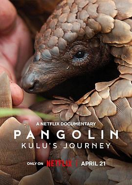 英国纪录片《穿山甲Kulu的旅程 Pangolin: Kulu’s Journey》高清下载-八六三纪录片资源网