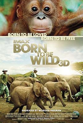 天生狂野 Born to Be Wild的海报