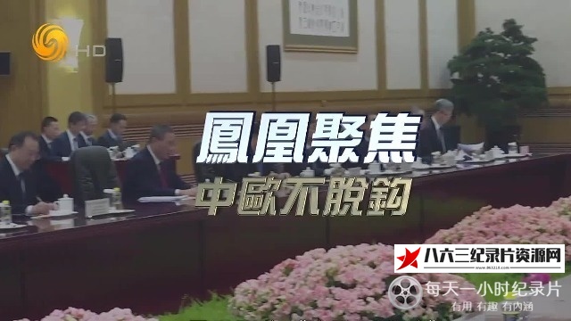 中欧不脱钩的海报